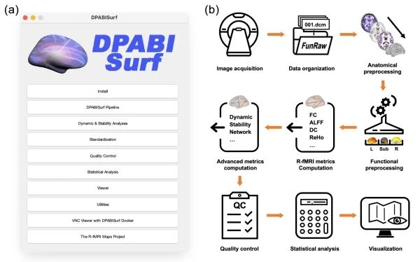 科研人員研發出磁共振腦影像一鍵式資料處理與分析軟體平臺 科研人員研發出磁共振腦影像一鍵式資料處理與分析軟體平臺