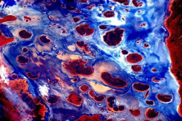 中國航天員從太空帶回來的照片，僅此一份，如此驚豔