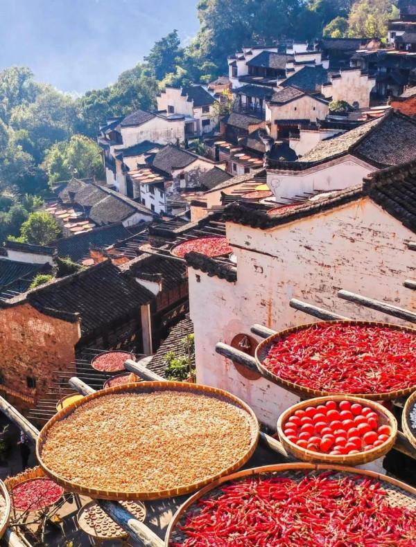 成年人玩得這麼野，小心把命都玩丟了