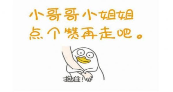 被慣壞的暹羅貓,會有這些表現,你家貓中了幾個? 被慣壞的暹羅貓,會有這些表現,你家貓中了幾個?