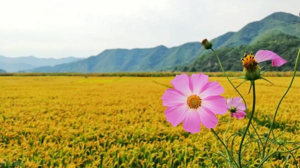 臨卦上六爻辭釋義 臨卦上六爻辭釋義