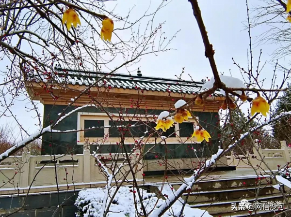 雪後沙河，夠不夠美？