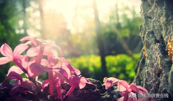 心理健康丨沒有可怕的情緒，只有缺乏瞭解的情緒