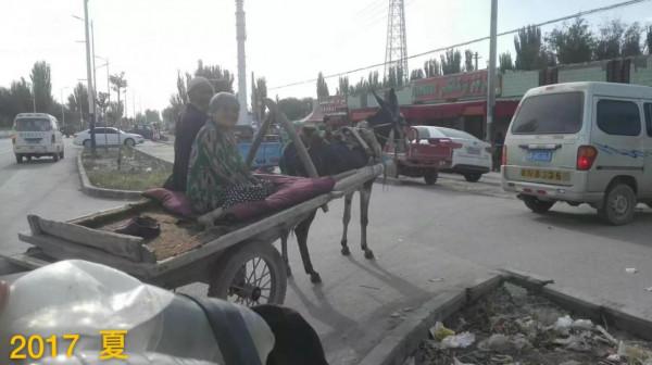 西域漫記&mdash;&mdash;西域都護府