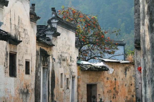 皖南的秋色，藏在這裡