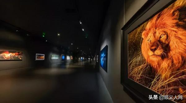 快來打卡!順義4地上榜2021北京網紅打卡地推薦名單 快來打卡!順義4地上榜2021北京網紅打卡地推薦名單