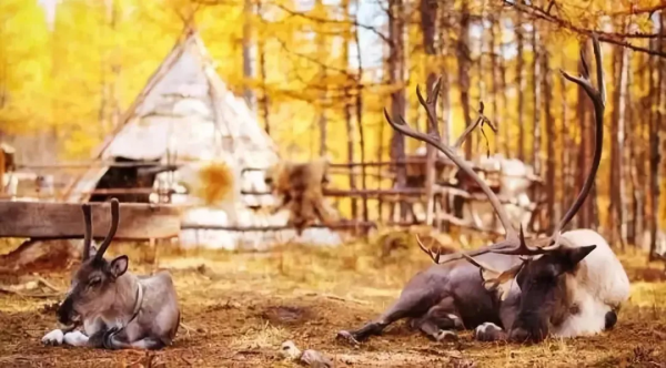 美呆!國內這8個地方一定要去!定會給你不一樣的驚喜 美呆!國內這8個地方一定要去!定會給你不一樣的驚喜