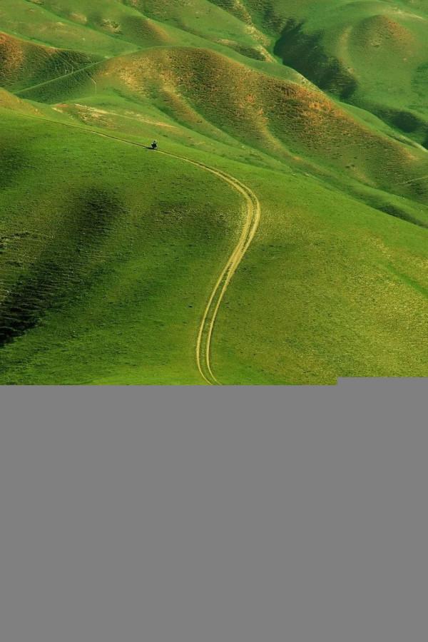 青海，你可以去100次