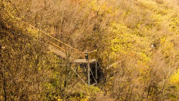 秋天的美景，冬日的陽光，在天上王城享受自然！