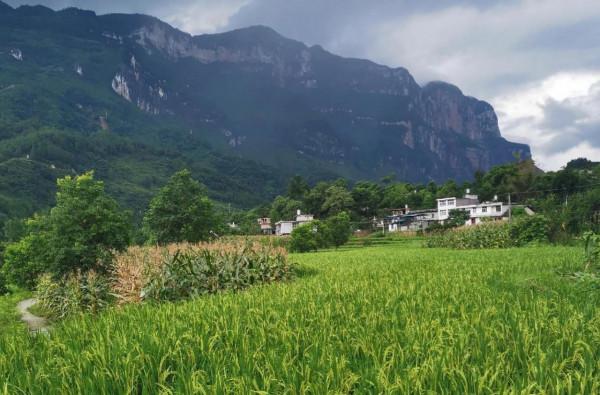 打工掙錢，農民工太矛盾，一邊是家庭，一邊是生活，鄉愁成了心病