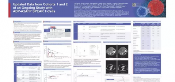 治療3個月,腫瘤病灶減小71%!新型免疫療法讓患者驚豔 治療3個月,腫瘤病灶減小71%!新型免疫療法讓患者驚豔