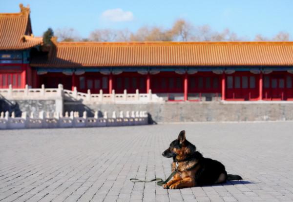 《劉墉追案》“男不逗貓,女不逗狗”,劉墉這話什麼意思? 《劉墉追案》“男不逗貓,女不逗狗”,劉墉這話什麼意思?