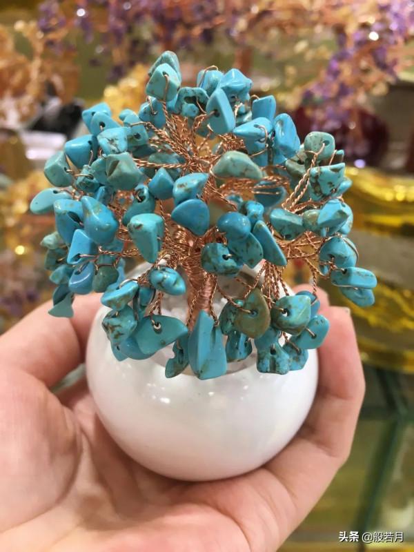 這些盆栽要是家裡能有一盆，賊有面子