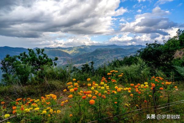 武定己衣打造“最美鄉村公路”