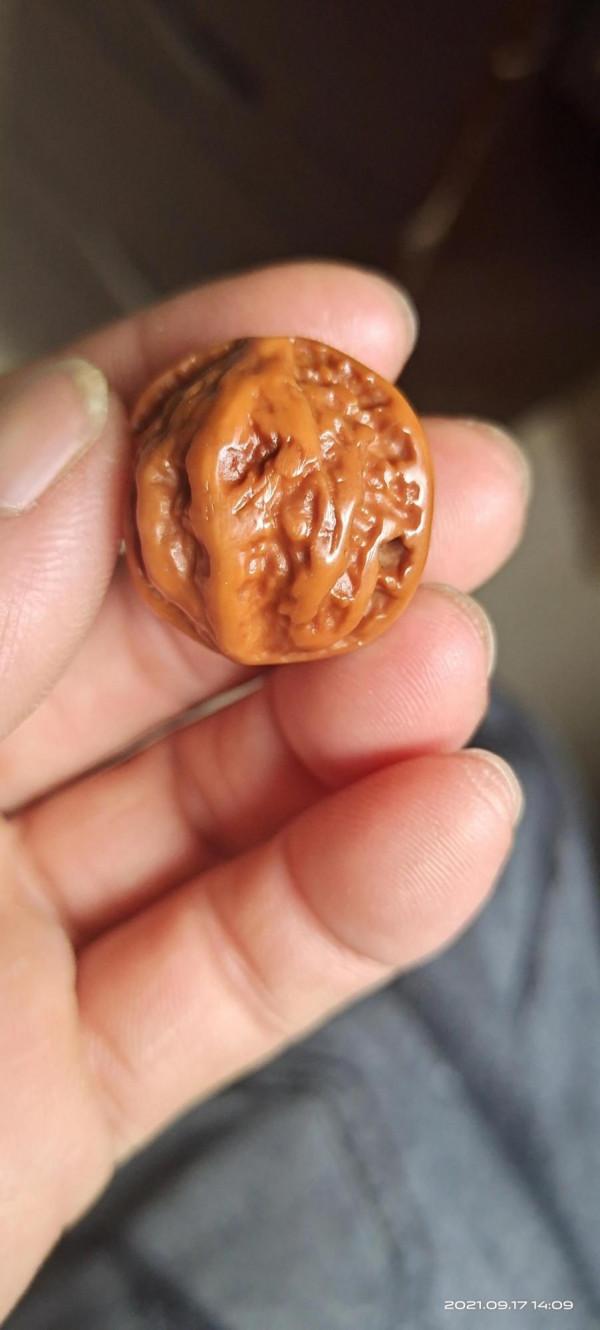 秋子核桃串 秋子核桃串