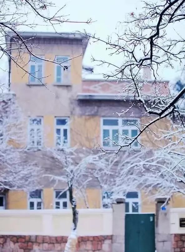 八大關，美了！