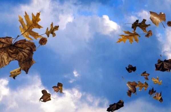 如果地球上從未進化出會飛的生物,人類還能發明飛機嗎? 如果地球上從未進化出會飛的生物,人類還能發明飛機嗎?