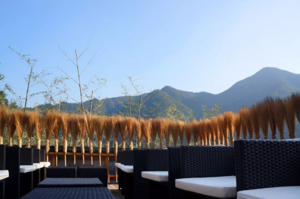 100家中國最美的民宿院子