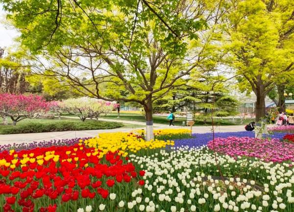 【FENG娛】速看!世界花卉大觀園裡有什麼?細數那些藏不住的精彩! 【FENG娛】速看!世界花卉大觀園裡有什麼?細數那些藏不住的精彩!