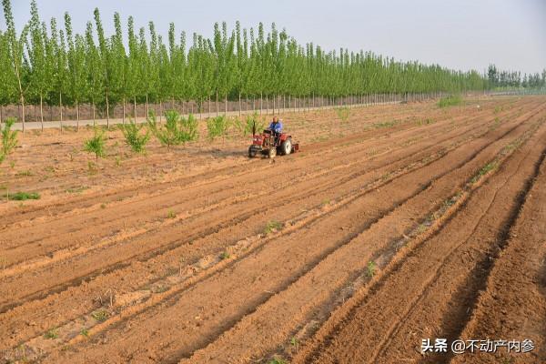 土地有償退出，農民建議&OpenCurlyDoubleQuote;拿地換社保&rdquo;！你怎麼看？