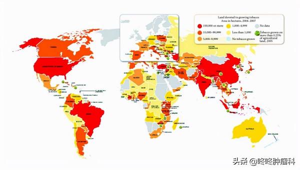 哥倫布從美洲帶回的「惡魔」，讓中國每年38萬人死於癌症