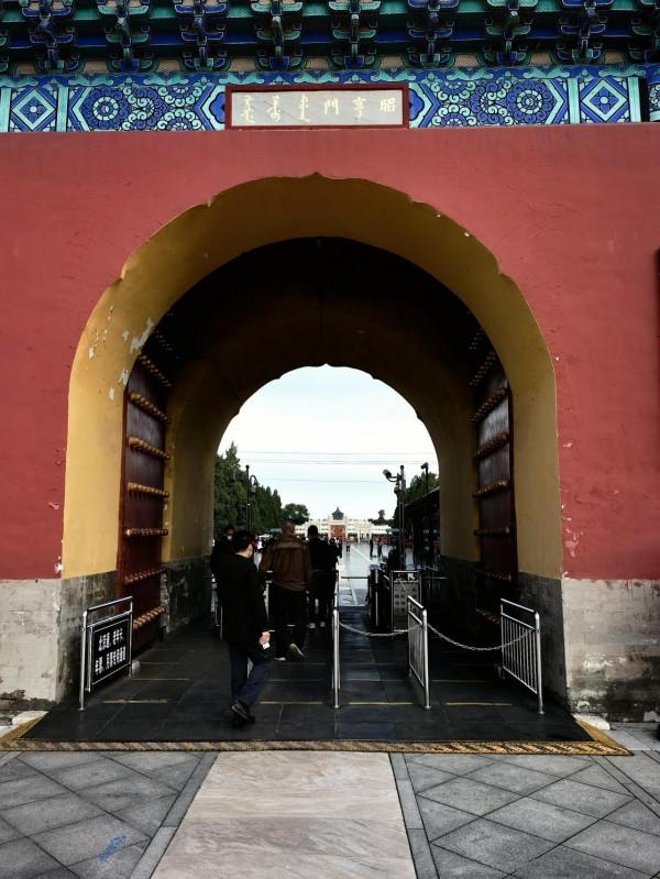 天壇公園的小松鼠 天壇公園的小松鼠