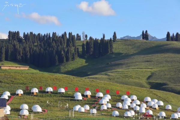 絕美卻鮮為人知！離新疆烏魯木齊200多公里處，藏著一處天山麥海