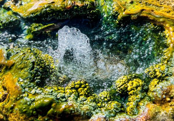 昌都自駕遊第一天:重慶飛邦達,逛古村、泡溫泉,疑似拍到藏羚羊 昌都自駕遊第一天:重慶飛邦達,逛古村、泡溫泉,疑似拍到藏羚羊