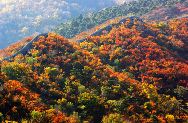 1949年，葉劍英提議把中南海作為中央辦公地點，毛澤東為何不同意