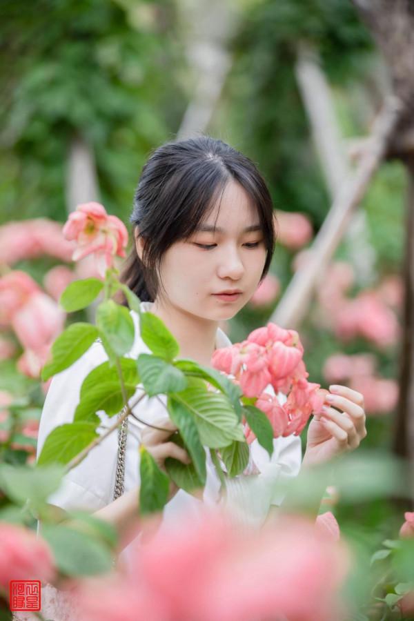 葉綠花紅處處詩——友文薈萃