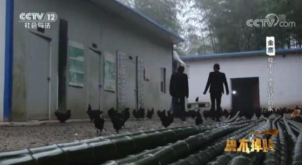 安徽7歲男孩一場大病，母親提出離婚，父親帶2孩獨自撐起一個家