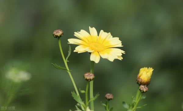 寫別後相思的1首小詞,若非刻骨銘心,怎會常憶“舊風流”? 寫別後相思的1首小詞,若非刻骨銘心,怎會常憶“舊風流”?