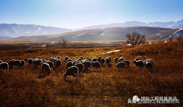 哈薩克主要自然資源