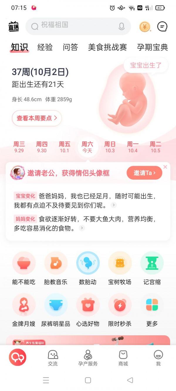 懷孕晚期中 懷孕晚期中