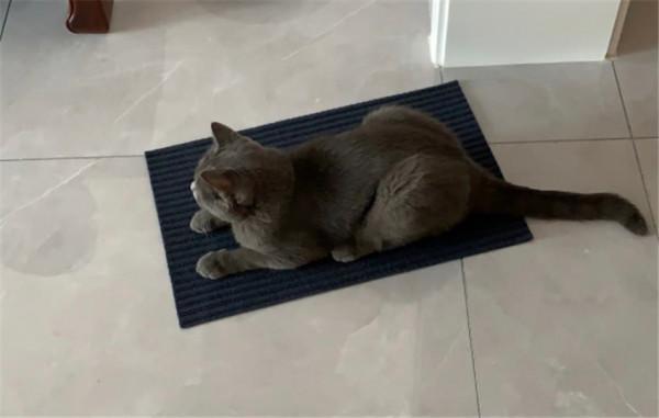 真心建議：宜家這些家居用品不要買！沒誇得那麼好，是真的雞肋