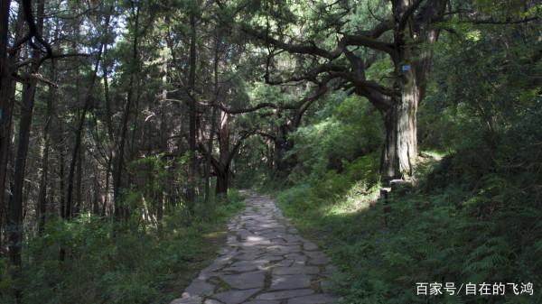 漫步攔馬牆，來一場穿越時空之旅，看金牛古道的前世今生