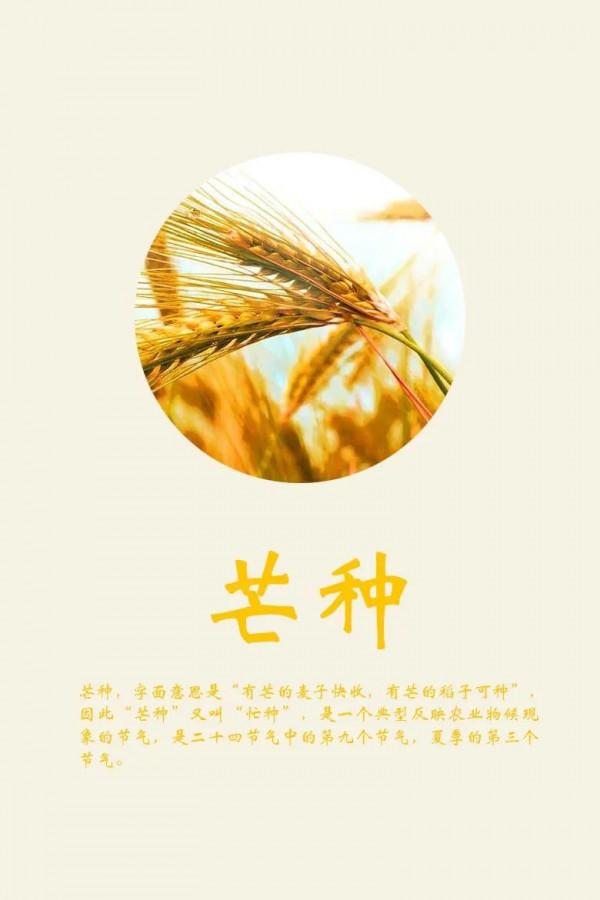 2021年的節氣圖分享