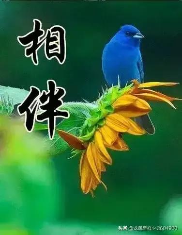 《幸福的回憶》