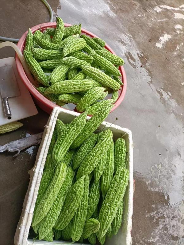 你見過這款潮汕黑暗料理嗎