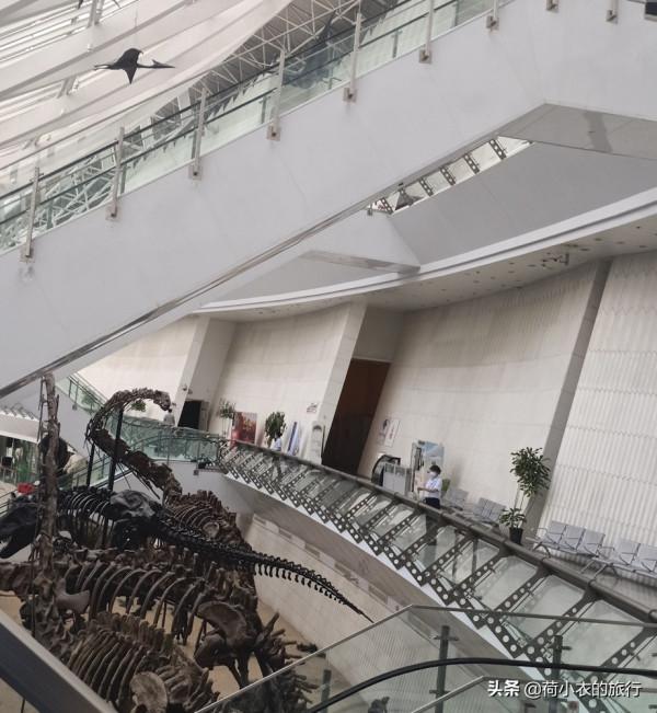 中國最值得去的10大博物館,你都去了幾個,全去過的人,太幸福了 中國最值得去的10大博物館,你都去了幾個,全去過的人,太幸福了