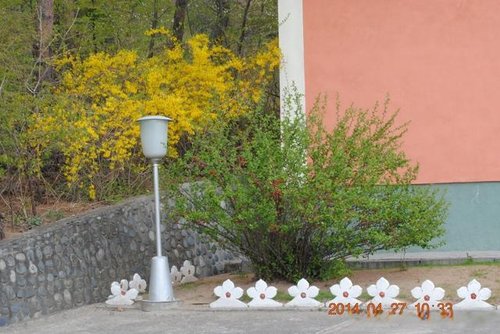 那年，公司將我從非洲安哥拉調到了朝鮮 （11、我在朝鮮住的地方）