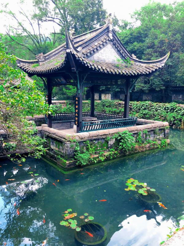 中國20個天下第一,去過一半此生無憾,你還沒去過哪幾個? 中國20個天下第一,去過一半此生無憾,你還沒去過哪幾個?