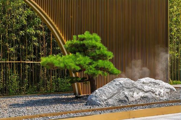 庭院裡擺石頭有什麼用?為什麼要在院子裡擺石頭? 庭院裡擺石頭有什麼用?為什麼要在院子裡擺石頭?