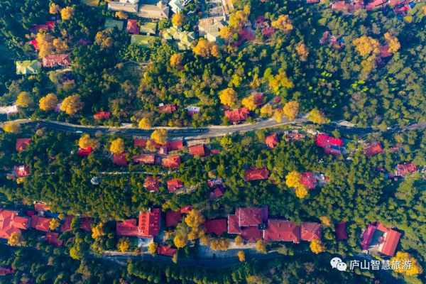 一聲梧葉一聲秋，廬山開啟七彩秋色模式