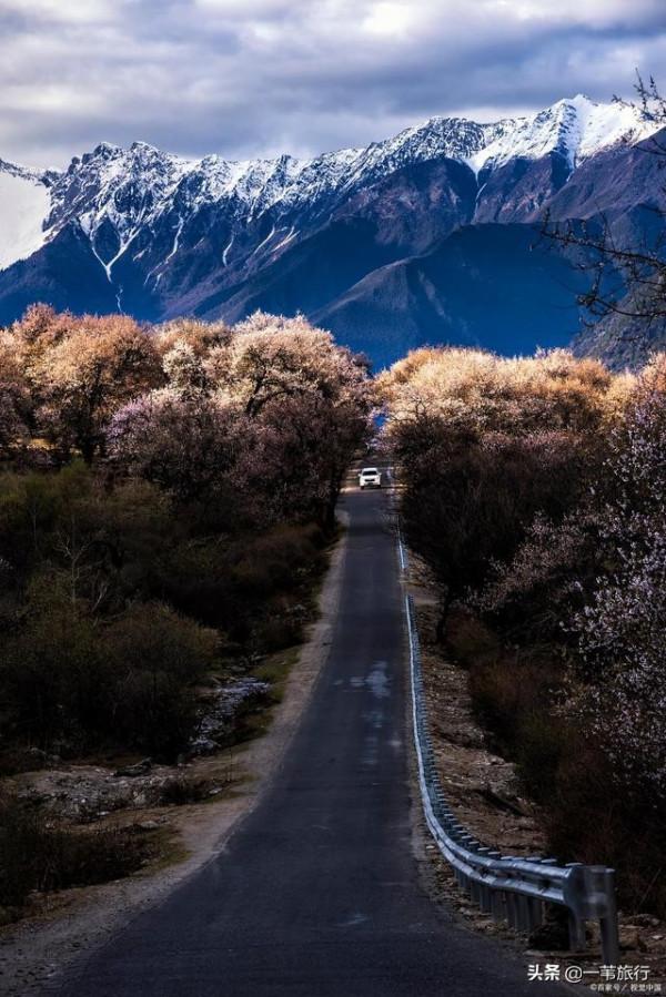 中國的景觀大道不止一條，為什麼途搭的驢友都跑去了318？