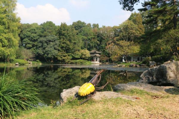 穿過密林，渡過小溪，美洲雨林兄弟的叢林好奇之旅