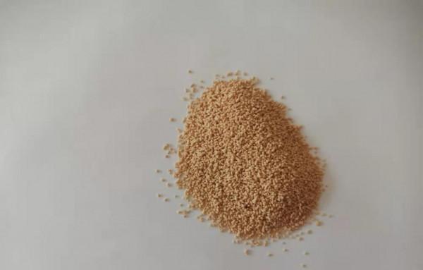 3箇中成藥,增加骨密度、改善骨質量、修復骨損傷,調治骨質疏鬆 3箇中成藥,增加骨密度、改善骨質量、修復骨損傷,調治骨質疏鬆