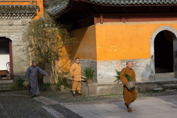浙江鮮為人知的一座寺廟,素齋2元住宿25,被譽為“城市桃花源” 浙江鮮為人知的一座寺廟,素齋2元住宿25,被譽為“城市桃花源”