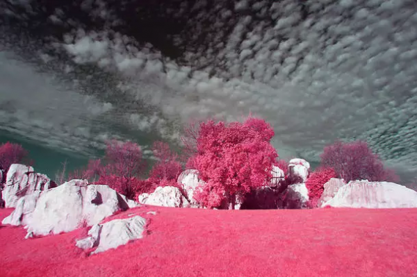 品,秋的味道 品,秋的味道