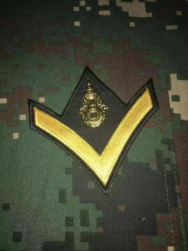 各國軍警銜圖集（三）